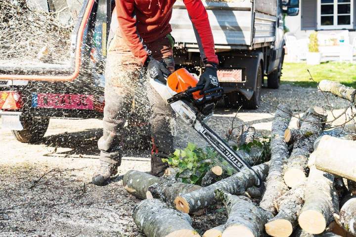 Abattage d'arbres Riom