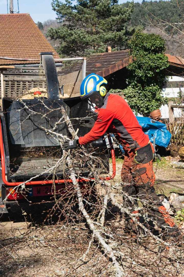 Broyage arbre Riom