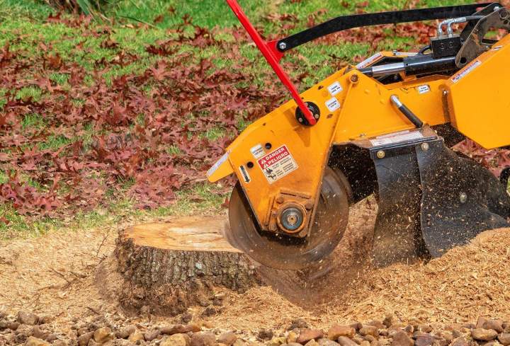 Élimination complète des souches après abattage